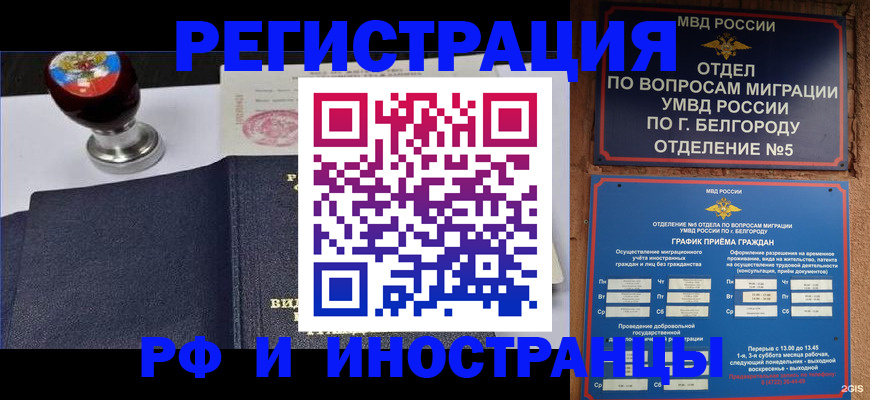 временная регистрация поиск в Долгопрудном